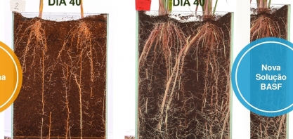 BASF apresenta monitoramento digital no 3º Inovacana