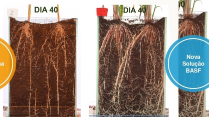 BASF apresenta monitoramento digital no 3º Inovacana