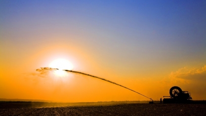 Vinhaça: biofertilizante e energia sustentável
