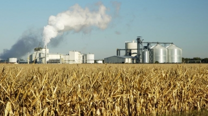 Acordo dos Estados Unidos com o Japão tira mercado do agro brasileiro