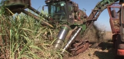 CS elevaria moagem em 89 mi de t se usinas menos endividadas investirem