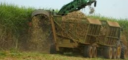 Por Amazônia, deputado dos EUA propõe lei para barrar importações brasileiras