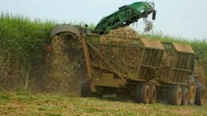 Por Amazônia, deputado dos EUA propõe lei para barrar importações brasileiras