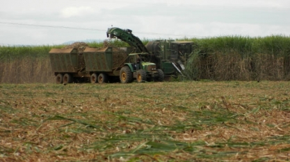 Prosa Rural - Práticas conservacionaistas integradas em canaviais