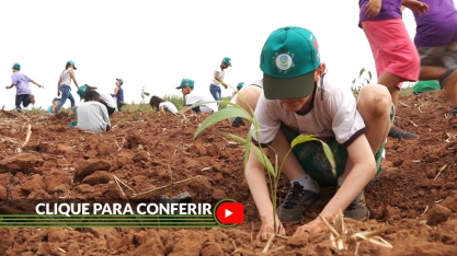 Usina Alcoeste promove plantio de 120 mil mudas de árvores
