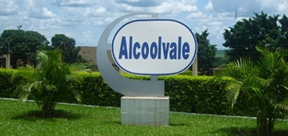 Mudas de Pau Brasil são plantadas na Alcoolvale