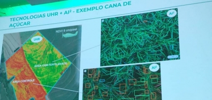 Monitoramento digital de plantas daninhas permite melhoria na gestão da matocompetição