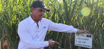 O período de plantio de MPB que gera maior taxa de multiplicação no sistema Meiosi