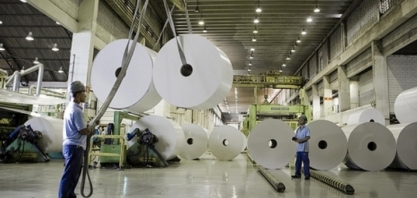 Martelo batido: obras da maior fábrica de celulose do mundo vão gerar 6 mil empregos