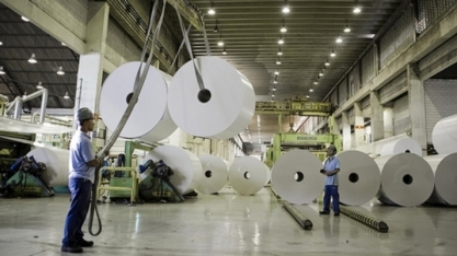 Martelo batido: obras da maior fábrica de celulose do mundo vão gerar 6 mil empregos