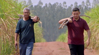 Estudante faz descoberta científica ao tentar ajudar o pai, um vendedor de caldo de cana