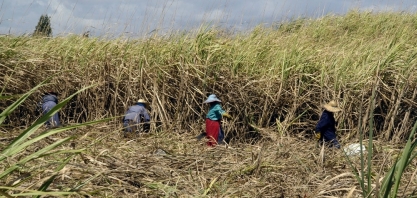 Por falta de combustível, Cuba é obrigada a desacelerar