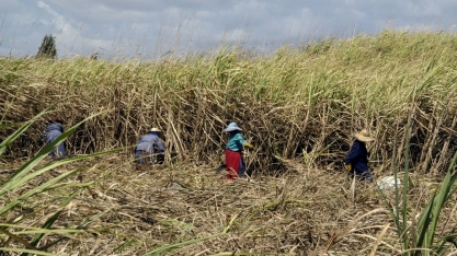 Por falta de combustível, Cuba é obrigada a desacelerar