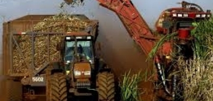 Venda de máquinas agrícolas e rodoviárias cai em setembro ante setembro de 2018