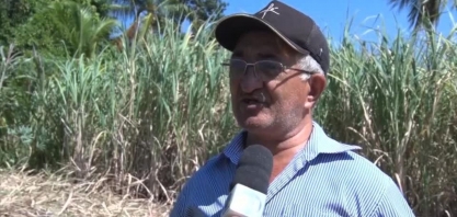 Produtores comemoram safra da cana em São João da Canabrava