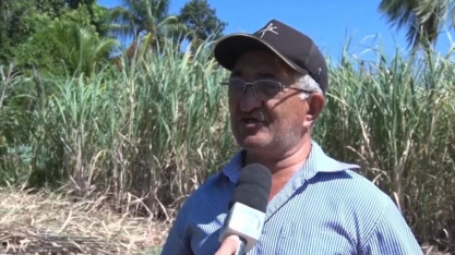 Produtores comemoram safra da cana em São João da Canabrava