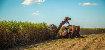 Lançamento da Nufarm para impulsionar produtividade é destaque do Encontro sobre Variedades de Cana-de-Açúcar