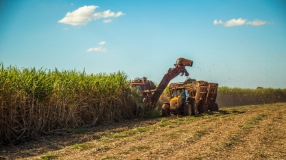Lançamento da Nufarm para impulsionar produtividade é destaque do Encontro sobre Variedades de Cana-de-Açúcar