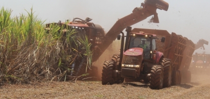 Morgan Stanley lista ações que ganharão com mudança climática