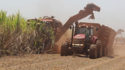 Morgan Stanley lista ações que ganharão com mudança climática
