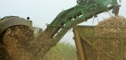 Governo chinês afirma ter interesse em importação de etanol brasileiro