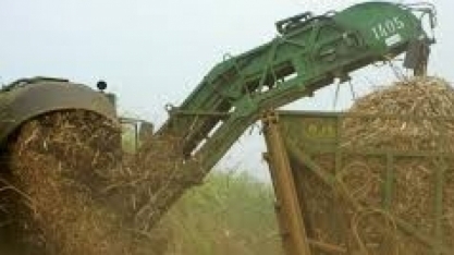 Governo chinês afirma ter interesse em importação de etanol brasileiro