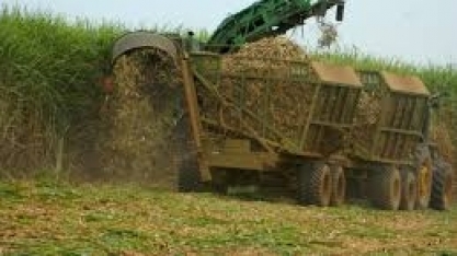 Canaplan estima moagem em 577,6 milhões de t no Centro-Sul em 2019/20
