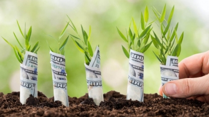 Emissão de CRA em moeda estrangeira deve dobrar para R$ 80 bi em 5 anos