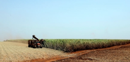 Das 5 usinas de outubro as 14 de novembro, Paraná para safra de cana, com 60,5% de etanol