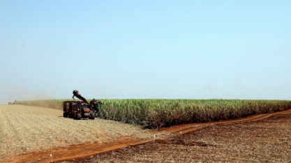 Das 5 usinas de outubro as 14 de novembro, Paraná para safra de cana, com 60,5% de etanol