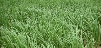 ATR PR: valor projetado cai 0,11% em setembro