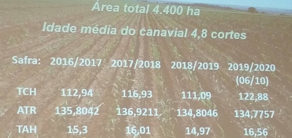 Programa diferenciado de manejo eleva a produtividade do canavial à 193 toneladas de cana por hectare