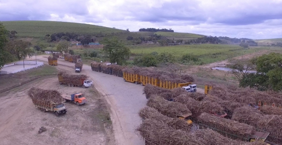 Caminhões aguardam para desembarcarem cana na esteira da Agrocan na atual safra (Agrocan)