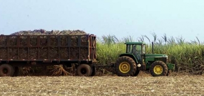 Safra de cana do centro-sul do Brasil deve ter leve alta em 2020/21, diz Platts