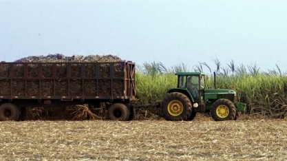 Safra de cana do centro-sul do Brasil deve ter leve alta em 2020/21, diz Platts