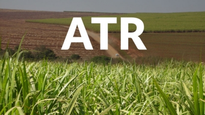 Sindaçúcar AL/SE divulga dados do ATR para o início da safra 2019/2020