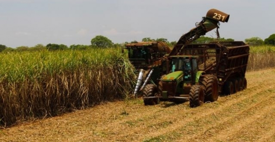 Máquina faz a colheita em lavoura no interior de Mato Grosso do Sul (Foto: Biosul/Divulgação)