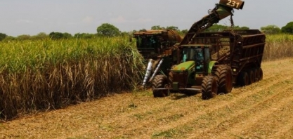 Moagem da cana-de-açúcar atinge 38,1 milhões de toneladas em MS