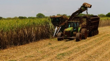Moagem da cana-de-açúcar atinge 38,1 milhões de toneladas em MS