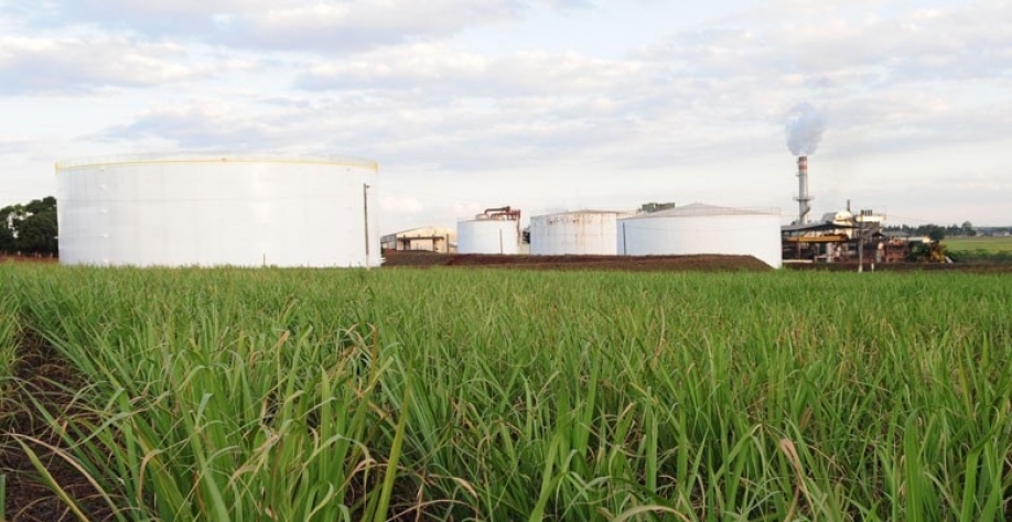 Com exceção de Mato Grosso, onde se produz etanol de milho, preços do combustível estão firmes (Foto: Editora Globo)