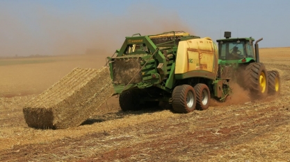 Biomassa produz volume 2,5 maior que carvão mineral