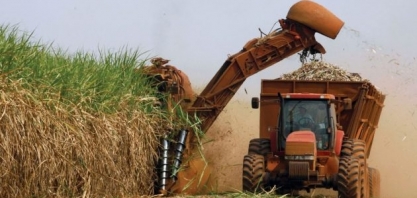 Paraná já fez a moagem de 80% da safra de cana