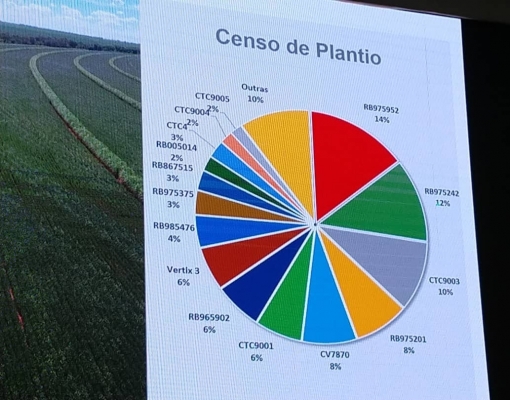 Censo Varietal na Tereos