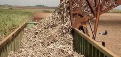 Grupo Infinity leiloa usina com máquinas e equipamentos em Minas Gerais