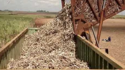 Grupo Infinity leiloa usina com máquinas e equipamentos em Minas Gerais