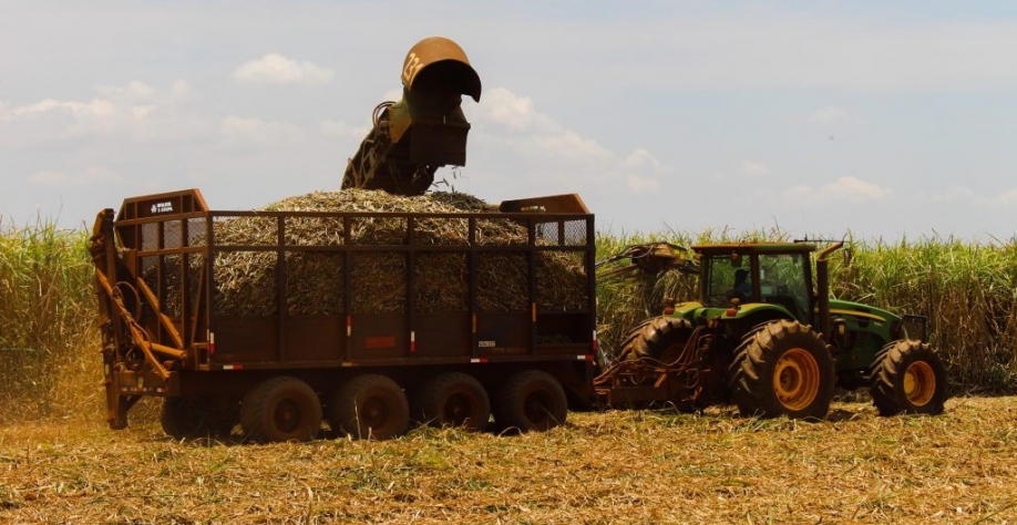 Imagem: Divulgação/Biosul