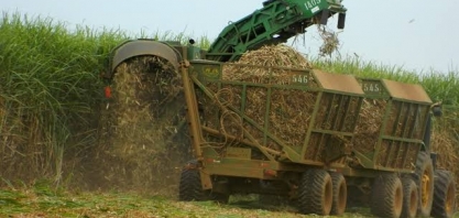 Moagem de cana no Centro-Sul dispara; Unica vê antecipação do fim de safra