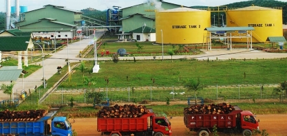 B30 pode fazer da Indonésia maior mercado mundial de biodiesel em 2020