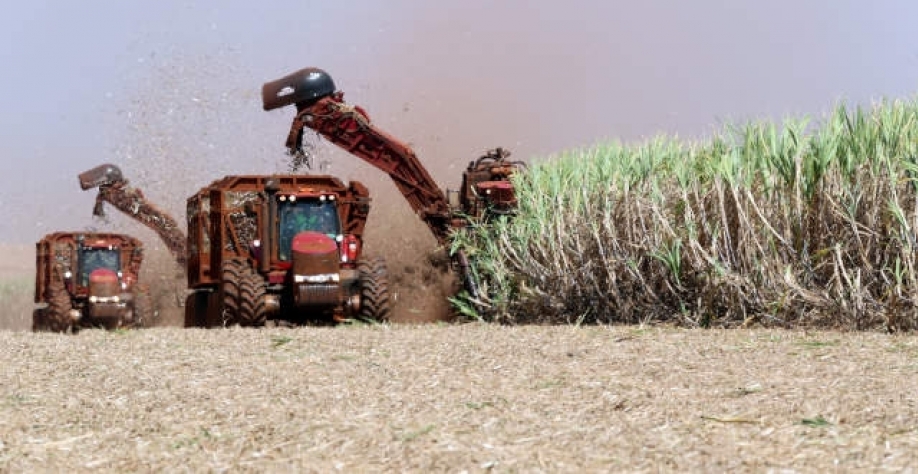 Máquinas correm para cortar mais cana no Mato Grosso do Sul, com algumas usinas parando antes (Imagem: Reuters/Paulo Whitaker)