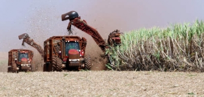 Mato Grosso do Sul moerá menos cana na entressafra e já acumula 86,6% de etanol produzido